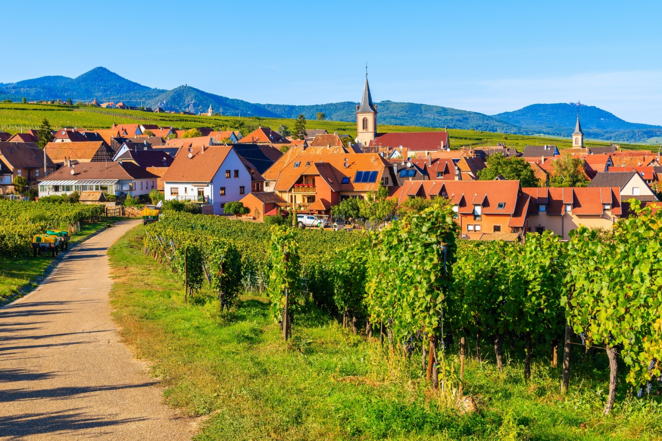 alsace village wine region in france