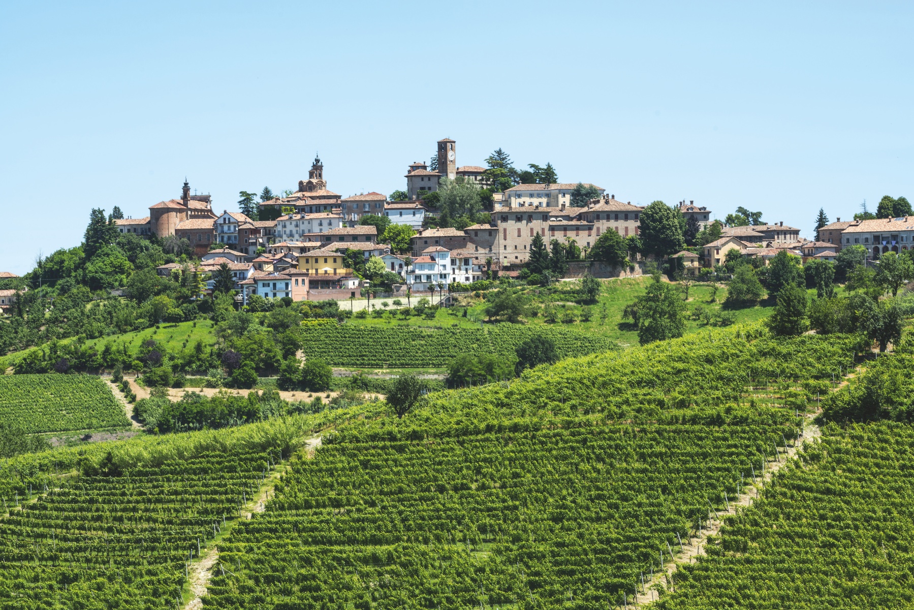 Piedmont top spot for honeymooners in Italy